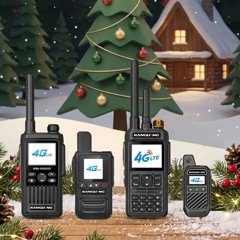 Manual de instrucciones para modelos PoC